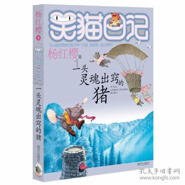 热带假日