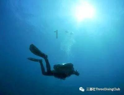 逗小猴开心系列163