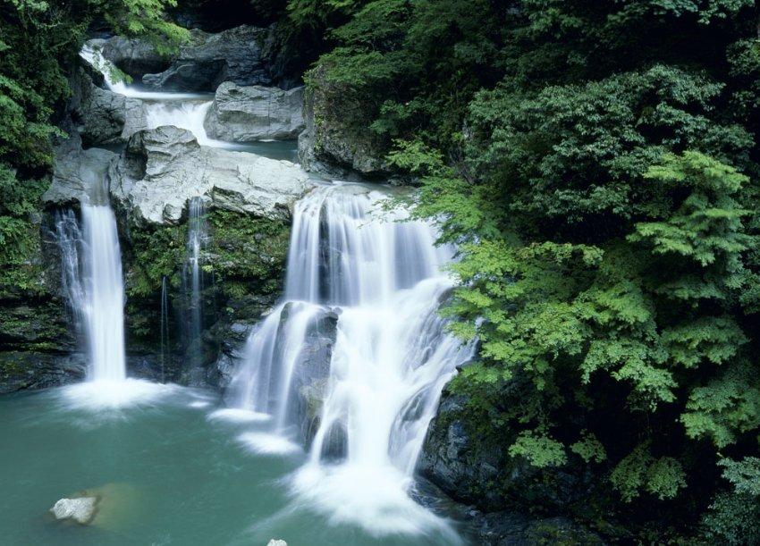 枸杞和它一起泡,坚持每天喝,排净肝毒,帮助身体“大扫除”
