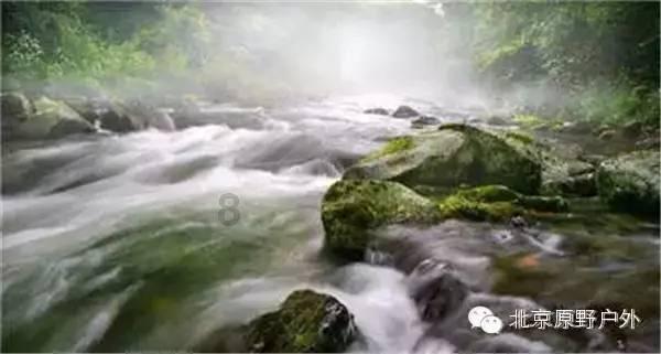 宁夏防沙治理生态修复草籽品种