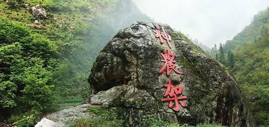 天天趣抓