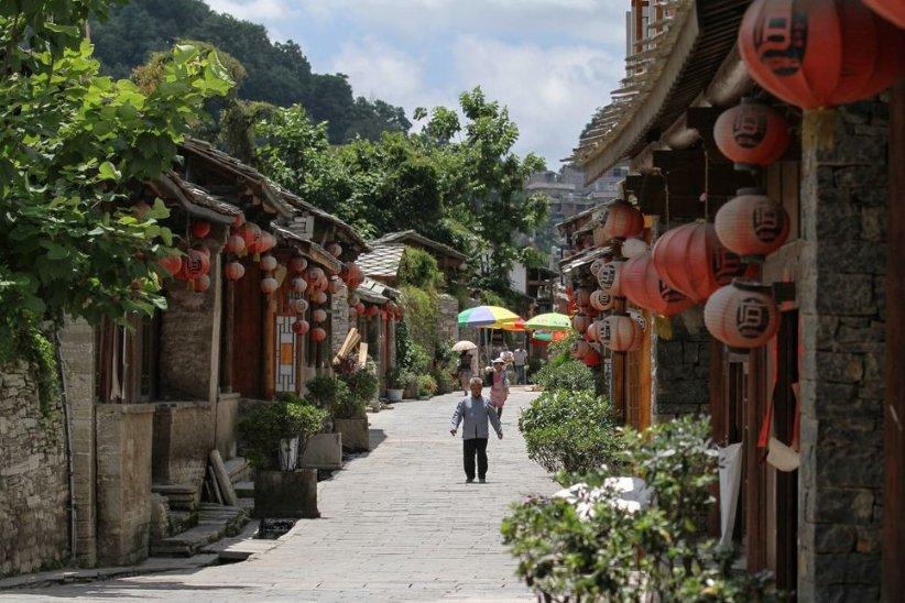 植物大战僵尸14